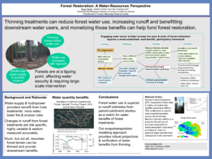 Forest Restoration - A Water Resources Perspective