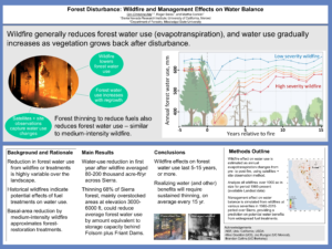 Forest Disturbance: Wildfire and Management Effects on Water Balance