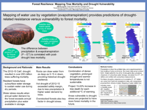 Forest Resilience: Mapping Tree Mortality and Drought Vulnerability