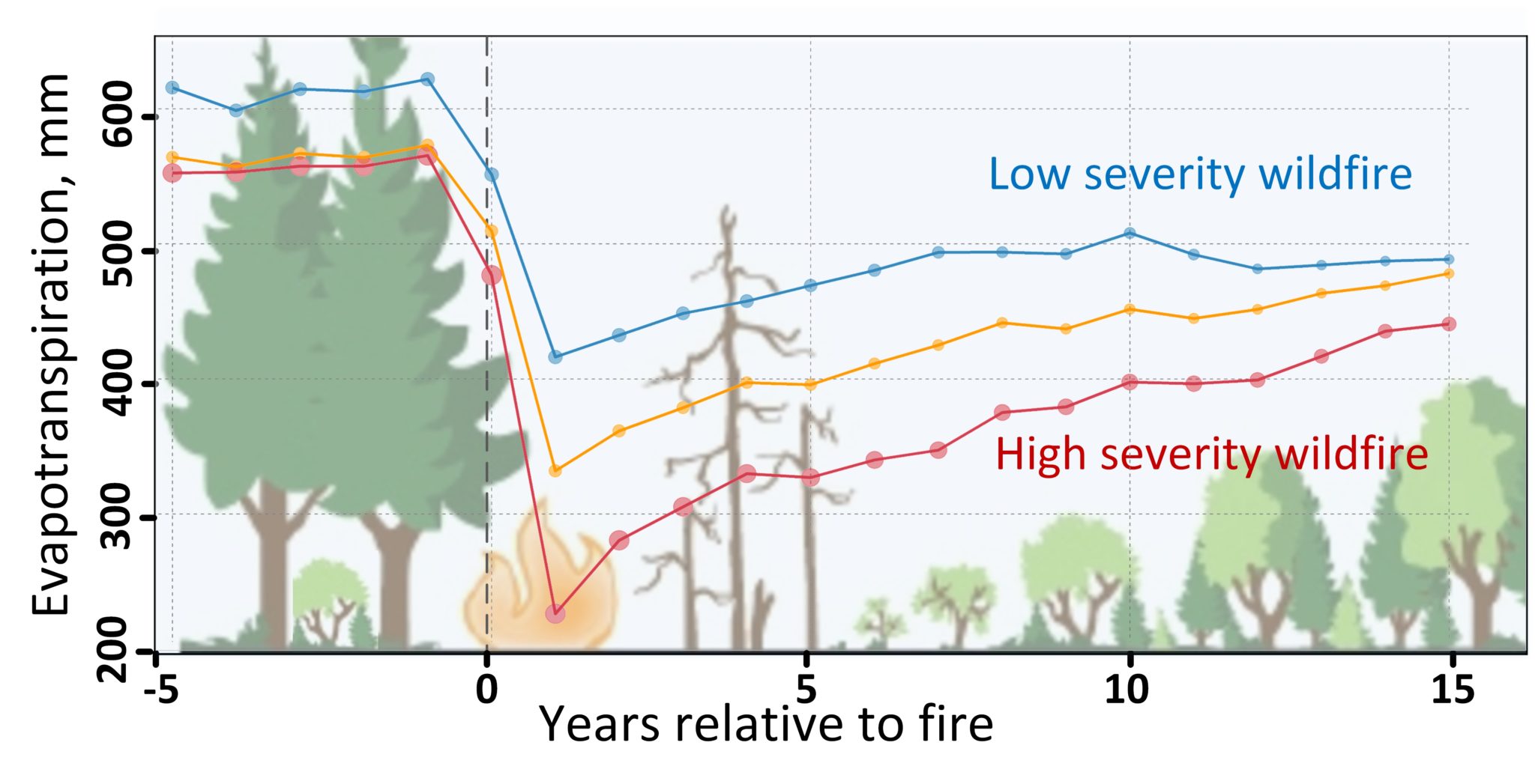 Effects of past wildfire provide roadmap for future Sierra Nevada ...